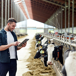 Holstein, conseil professionnel agriculteur, négoce agricole Ardenne, agriculture 08, économie circulaire, résultat technico-économique, programme nutritionnelle, suivi personnalisé, viande de qualité, protéines